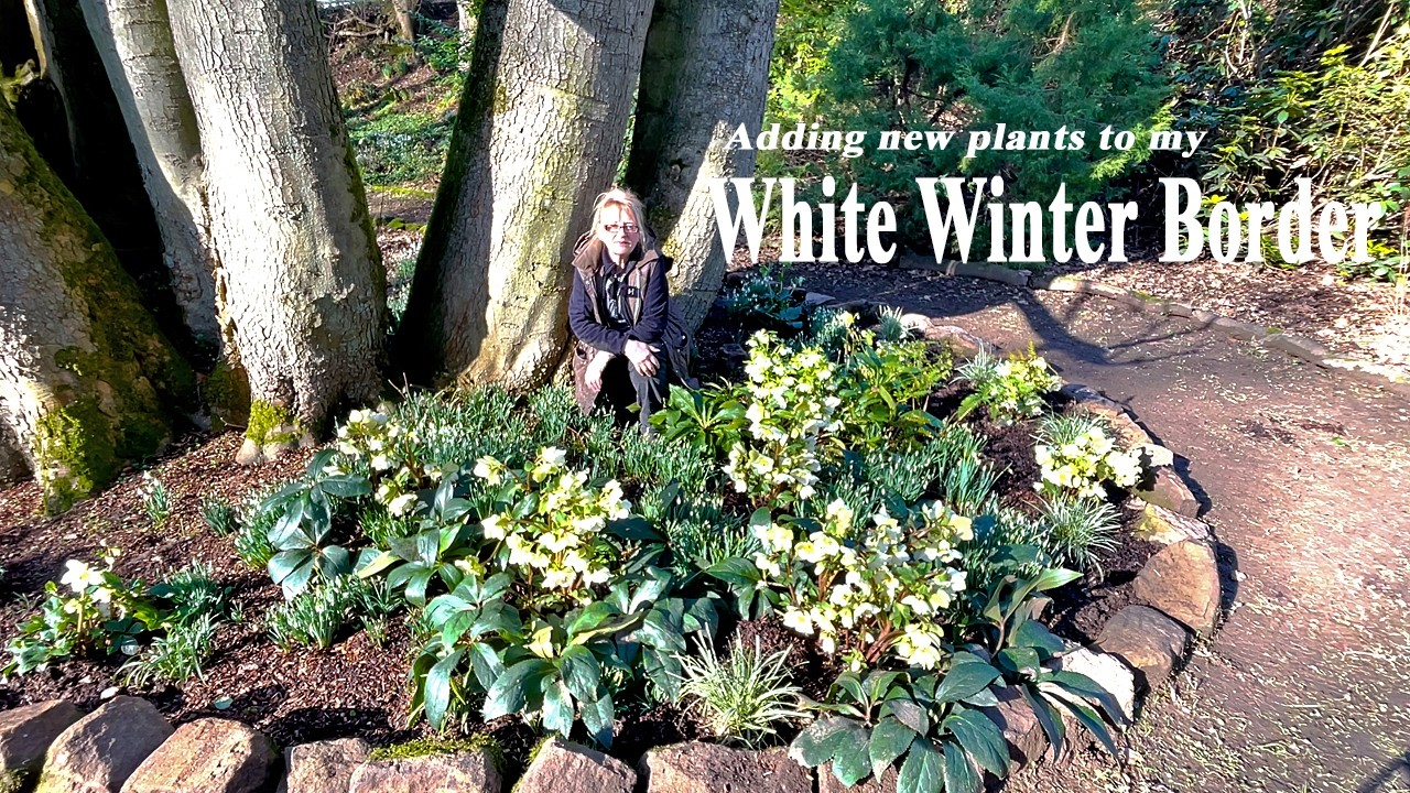A White Garden Border for Winter