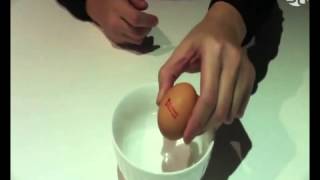 BLACK MAGIC EGG - Direct -Spikes Asia.mp4