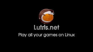 Lutris: Batman Arkham Knight (Vulkan/Linux)