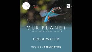 Down Here There Is No Flow | Our Planet: The Complete Collection OST