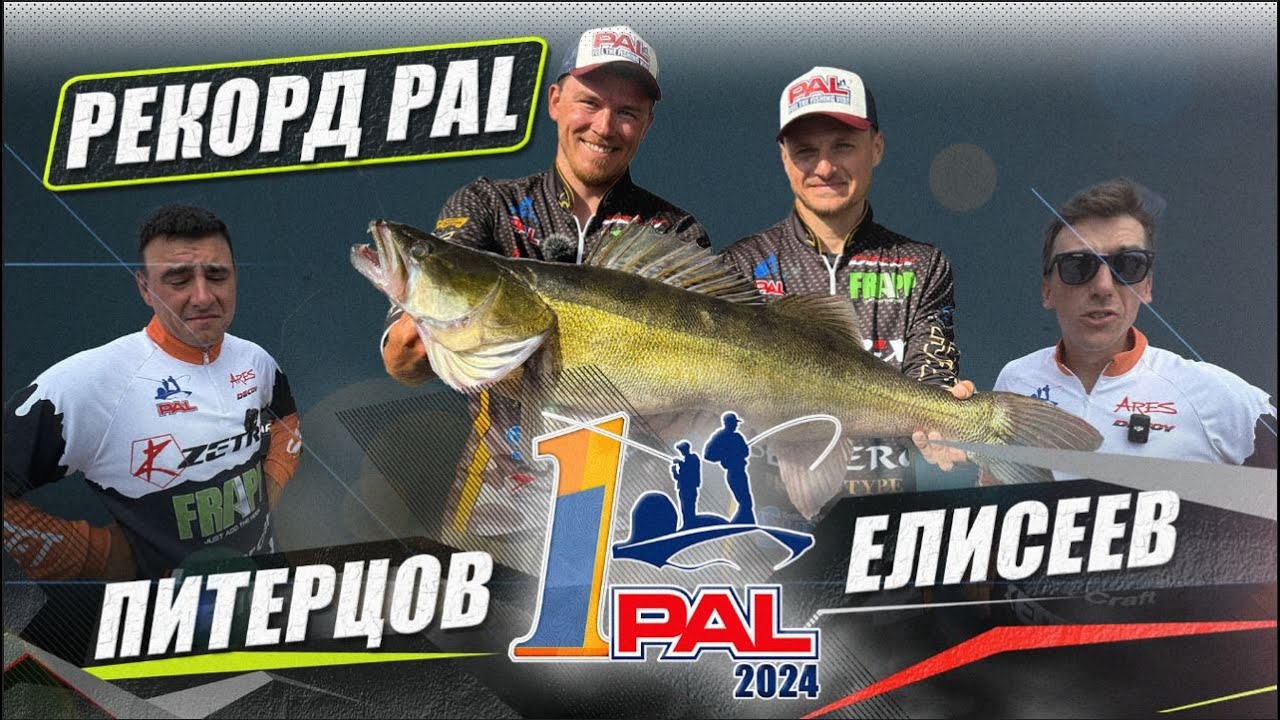 Pal 2024 результаты