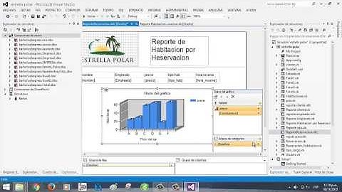Creación de Gráfico en un reporte en visual estudio