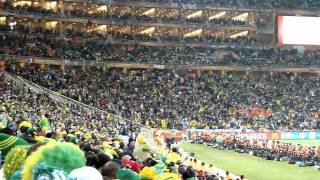 La Ola (Mexican Wave) during Brazil vs Ivory Coast South Africa 2010 World Cup - Soccer City Stadium screenshot 5