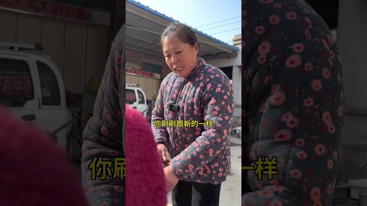 In-Laws in Harmony: A Countryside Tale / 和谐婆媳：乡村故事