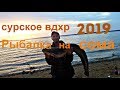 Рыбалка на сома на Сурском вдхр-Ловля сома в мае- Сом на спиннинг ночью