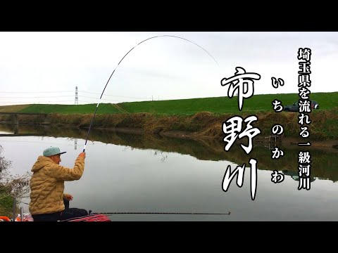 【市野川】埼玉県を流れる一級河川でへらぶな釣り