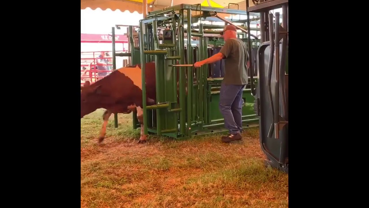 Real Tuff Neck Extender YouTube