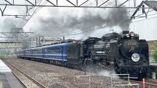 2022年8月5日 上越線 『SL ぐんま みなかみ』『D51 498+12系客車5B』井野駅通過(井野→新前橋)