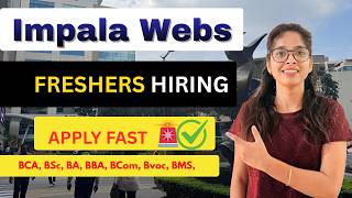 Frontend Developer (React.js) Job 🔥 | Fresher & Experienced | IT Company Hiring