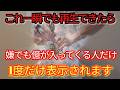 ⚠️今すぐ受け取って⚠️4/11~4/14逃したら人生損この光を浴びた翌日から叶わないはずの願いが叶います何もかもうまくいく好転波動インストール e.g., Meditation, Frequency