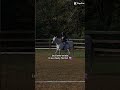 love this mare #fypシ゚viral #fypp #fyp #fypage #horse #love #edit