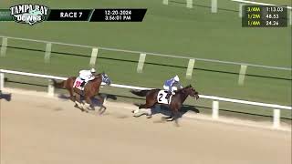 Tampa Bay Downs Carrera 7 - 20 de Diciembre 2024