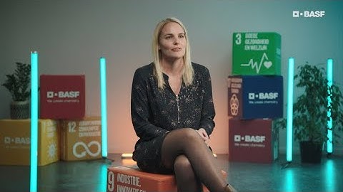 BASF Antwerpen zoals het is