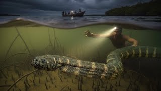 Diving for snakes! Herping adventure Pt. 2