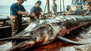 Hunting Commercial Giant Swordfish At Sea Caught Many Monster Swordfish Weighing Over 1000 kg