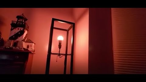 The Best  SMART RGB light bulbs no hub Alexa & Google Sengled Amazon Unboxing Video