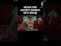 never find ancient debrish with bro#mincraftmemes