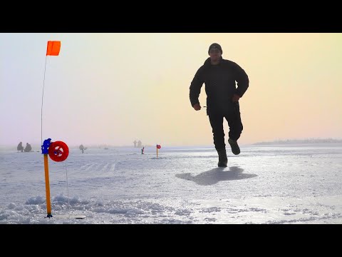 НАШЛИ ЩУКУ ПОСРЕДИ СТЕПИ! Рыбалка на Жерлицы за 300км от дома. Рыбалка 2024