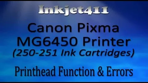 Canon Pixma MG6450 Printer Errors (250, 251 Ink Cartridges)