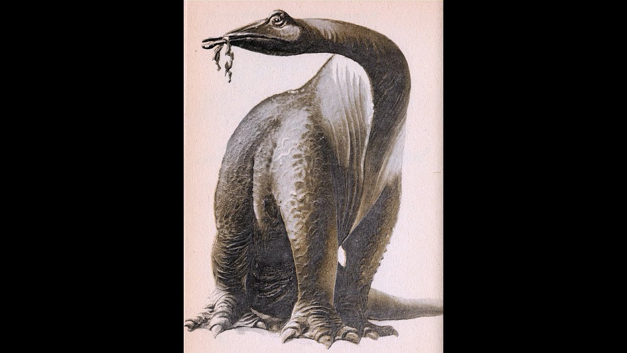 На рисунке изображен майаспондил вымершая рептилия. Винтаж динозавры. Винтажные динозавры. Динозавры на старых картинах.