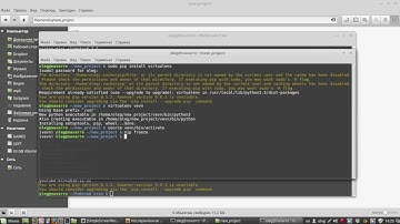 Зачем и как использовать virtualenv