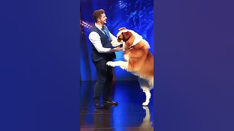 Magic 😱 #magic #learnfromzeta #shorts