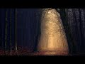 Still Lonely Edition Two Dj The Bass Vs Dj Crush Nightcore Remix Edit 