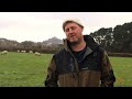 Farmer Profile video about iLivestock