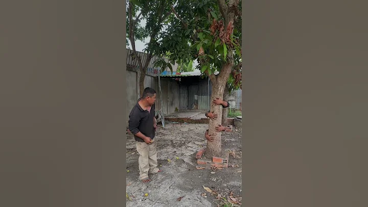 New Stunning Video, try not to blink your eye #foryou #trending #funny #ytshorts #trend #shorts