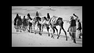 UAE :  HISTORY of ABU DHABI Full AMAZING Documentary