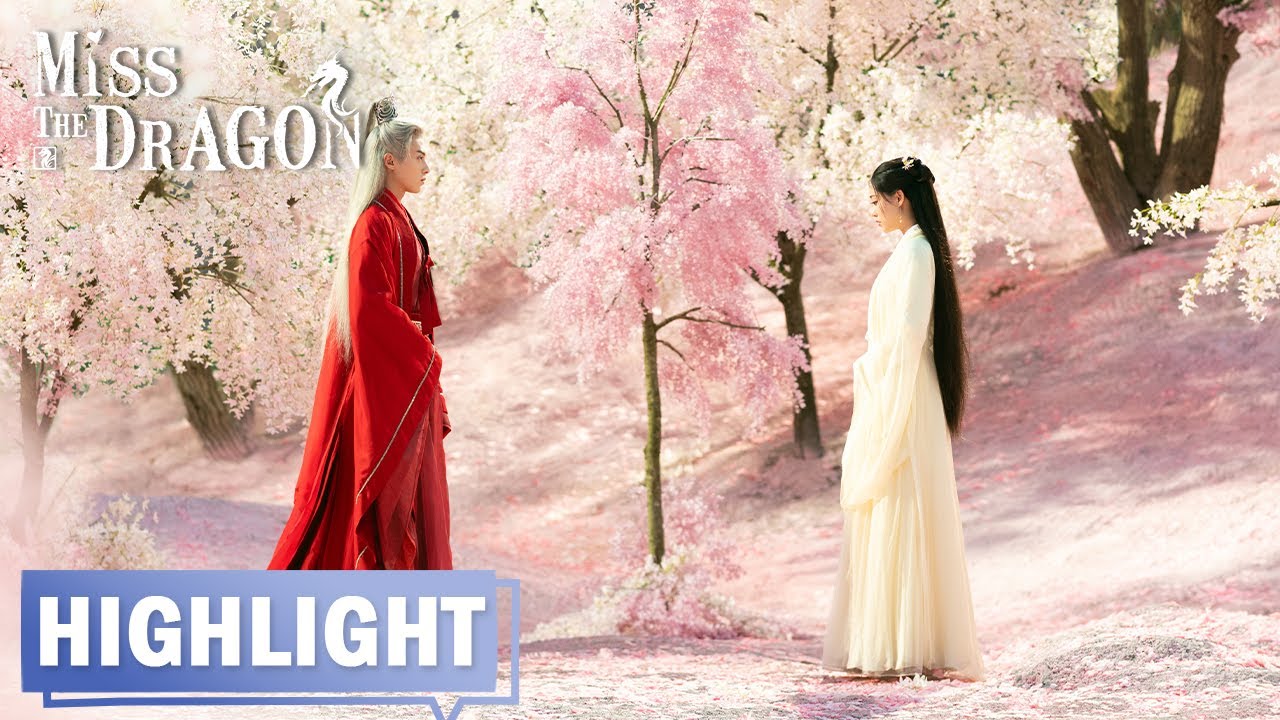 【高光合集】 | EP22-30 | 遇龙 Miss The Dragon