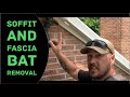 Soffit and Fascia Bat Removal (Exclusion with "The Bat Valve")