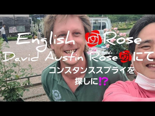 🇬🇧イングリッシュローズ🌹コンスタンススプライを探しに泉南デビット