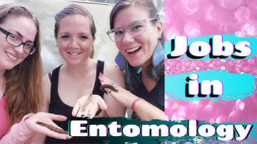 Jobs in Entomology
