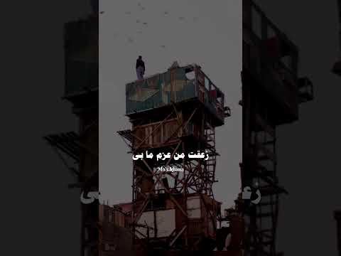 بدريه السيد موال اغاني