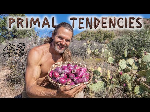 Big Prickly Pear Harvest & More (episode 22)