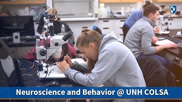 Explore the World of Behavioral Neuroscience at UNH: A Multidisciplinary Journey