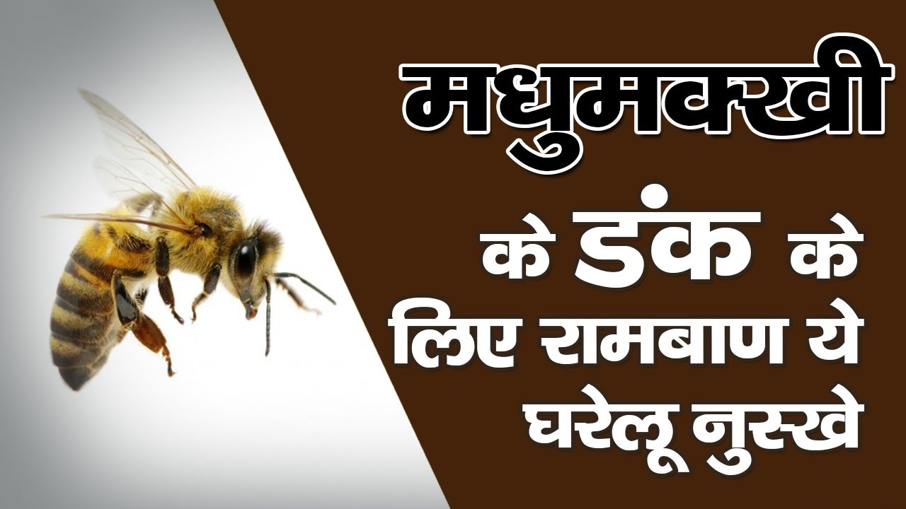 मधुमखी के डंक के लिए रामबाण ये घरेलू नुस्खे || Natural Home Remedies for Honeybee Sting