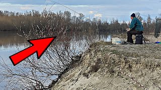 видео: Увесь берег зайнятий. Рибалка. Фідер, плотва та інші пригоди. картинка: Увесь берег зайнятий. Рибалка. Фідер, плотва та інші пригоди.