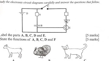 2024 BECE Integrated Science Mock Trial Questions and Answers