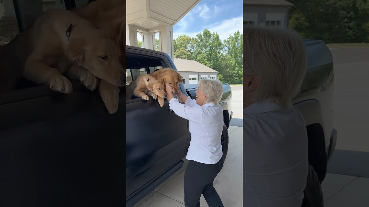 I gave Teddy and Roo the best day ever with ​⁠