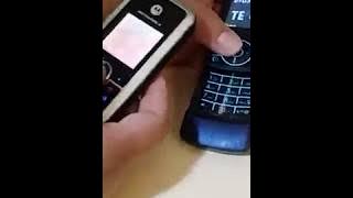 Ringtone Duet with Motorola C168i & Motorola Rizr Z3