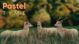 Fallow Deer Wildlife Art in Soft Pastel - Timelapse screenshot 1