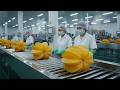 Inside a Modern Starfruit Factory: From Fruit to Syrup (Full Process)