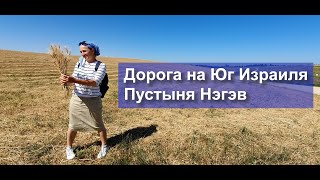 Дорога в Нэгэв. Юг Израиля. Жизнь и путешествия в Израиле