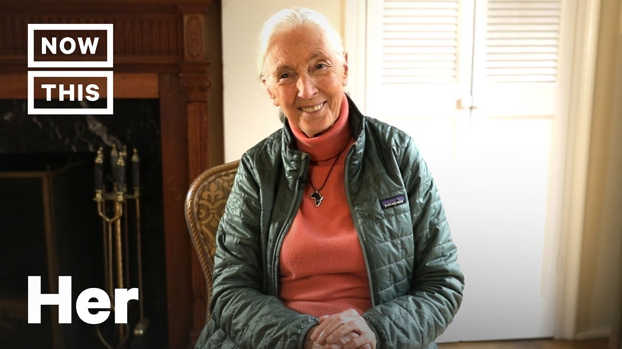 How to Convince People Climate Change Is Real, According to Jane Goodall | NowThis
