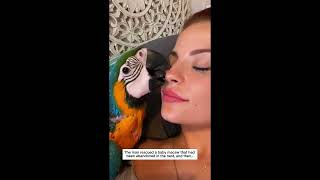 Stories of rescuing birds #bird #sparrow #cute #lovestory #rescue #wildliferescue #love #kindness