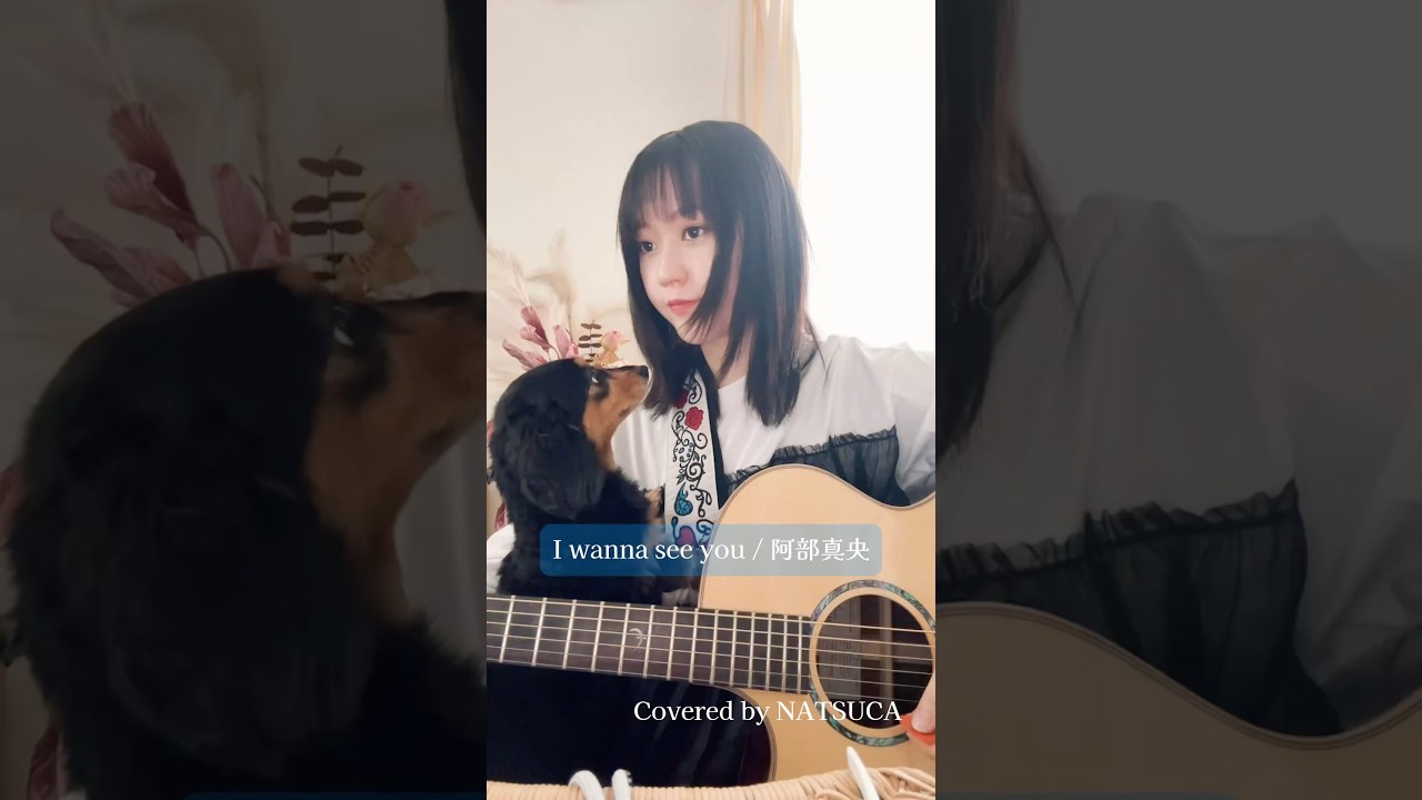 I wanna see you / 阿部真央 covered by NATSUCA #弾き語り