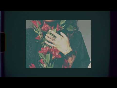 Royal & The Serpent – Roses (Soleima Cover)