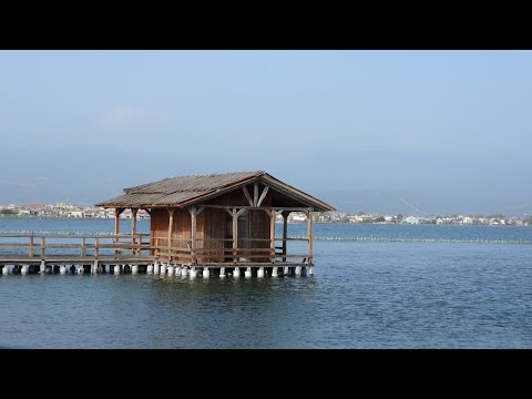 MESSOLONGHI - ΜΕΣΟΛΟΓΓΙ
